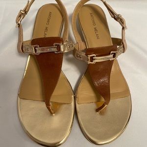 Antonio Melani Gold & Brown Wedge Sandals Size 10